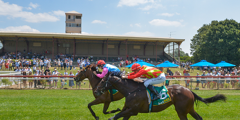 Tuesday Racing  Tile Image