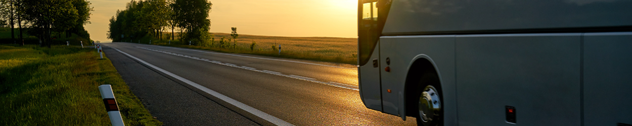 Bairnsdale | Banner | Bus