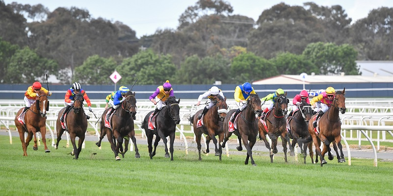 Ladbrokes Geelong St Patrick's Cup  Tile Image