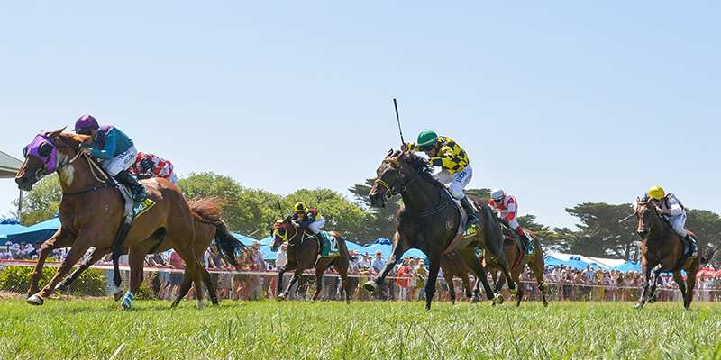 Sungold Milk Camperdown Cup Tile Image