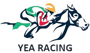 Yea | Portal Logo