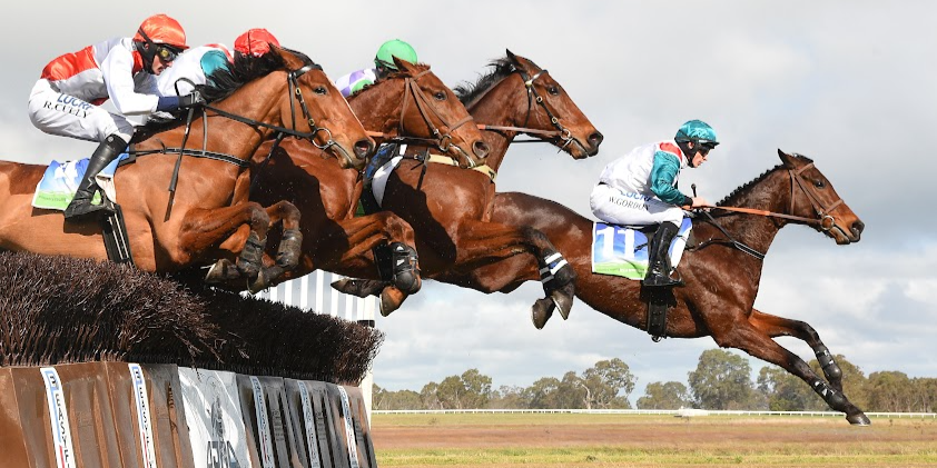 Jumps, Blues and Brews Festival Tile Image