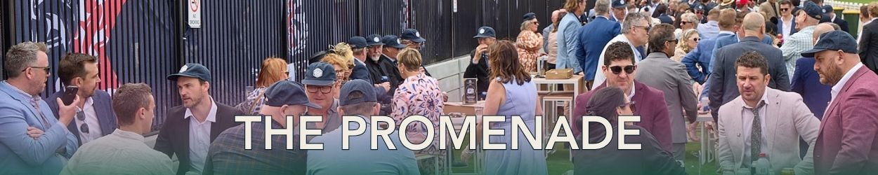 Geelong | The Promenade | Banner