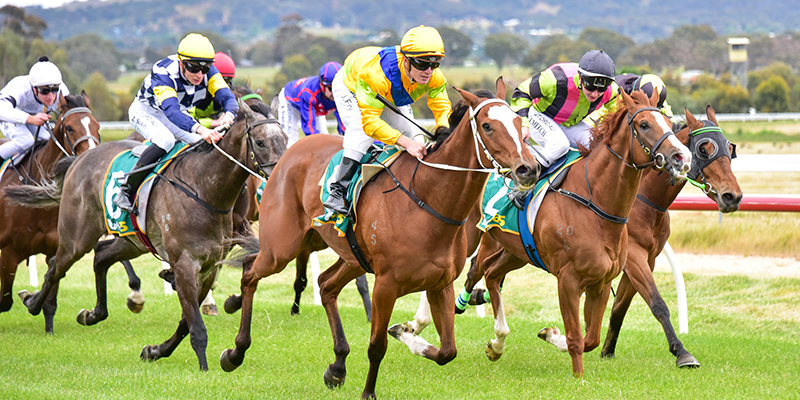 bet365 Ararat Gold Cup  Tile Image