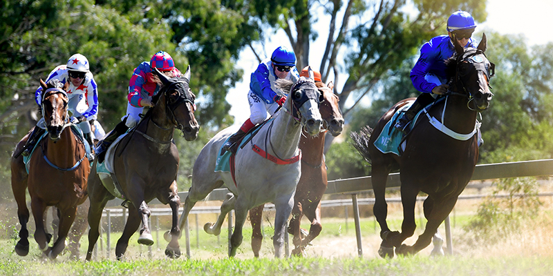 Seppelt Great Western Cup  Tile Image