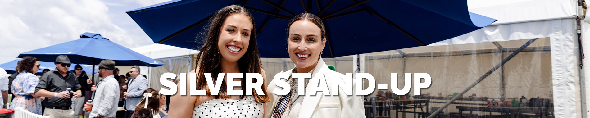 Silver Stand Up Banner Image