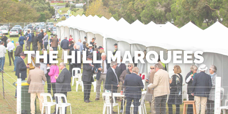 Warrnambool | Hill Marquee | Warrnambool | Hill Marquee | 2023-2024 Thumbnail