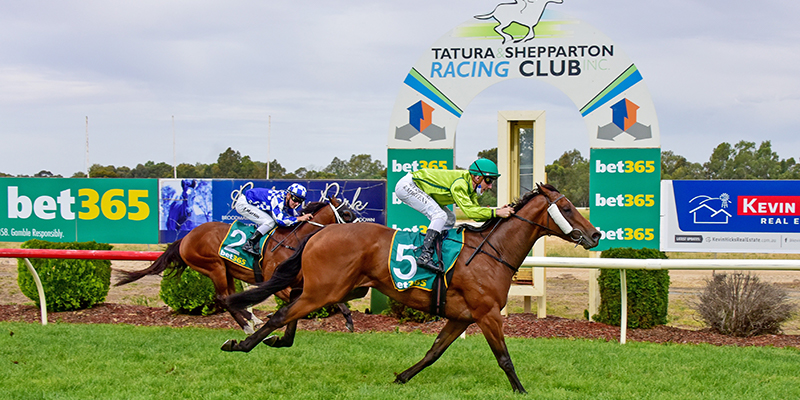 bet365 Tatura Cup  Tile Image