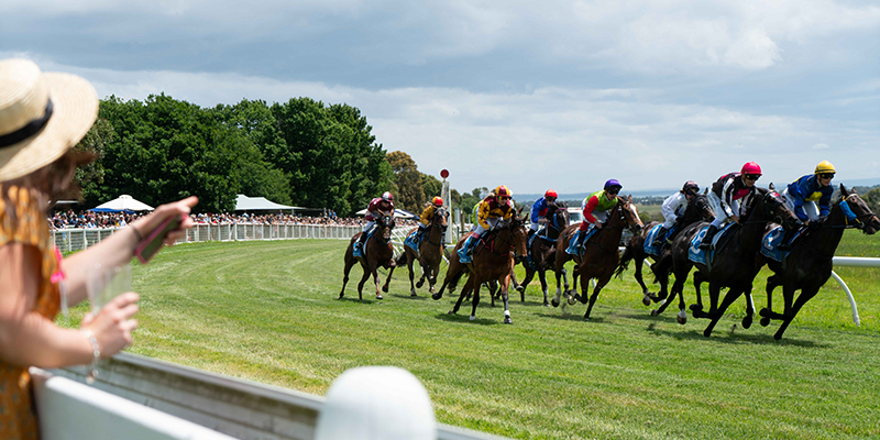 End of Year Celebration Races  Tile Image