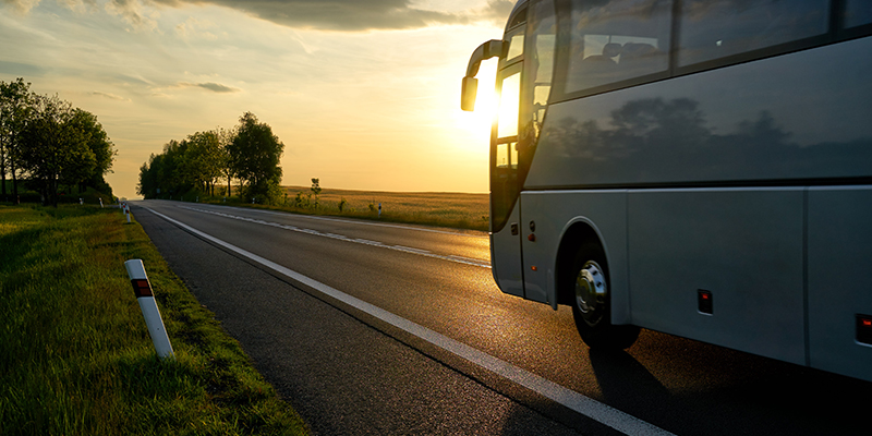 Avoca | Return Bus | Avoca | Return Bus | 2025-2026 Thumbnail