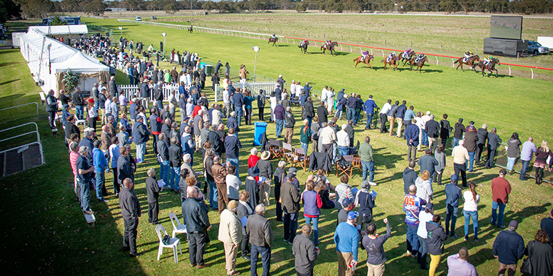 Apsley Cup Tile Image