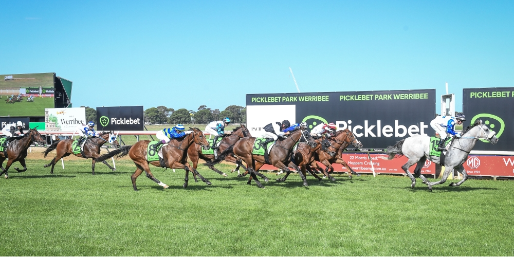 Picklebet Werribee Cup  Tile Image