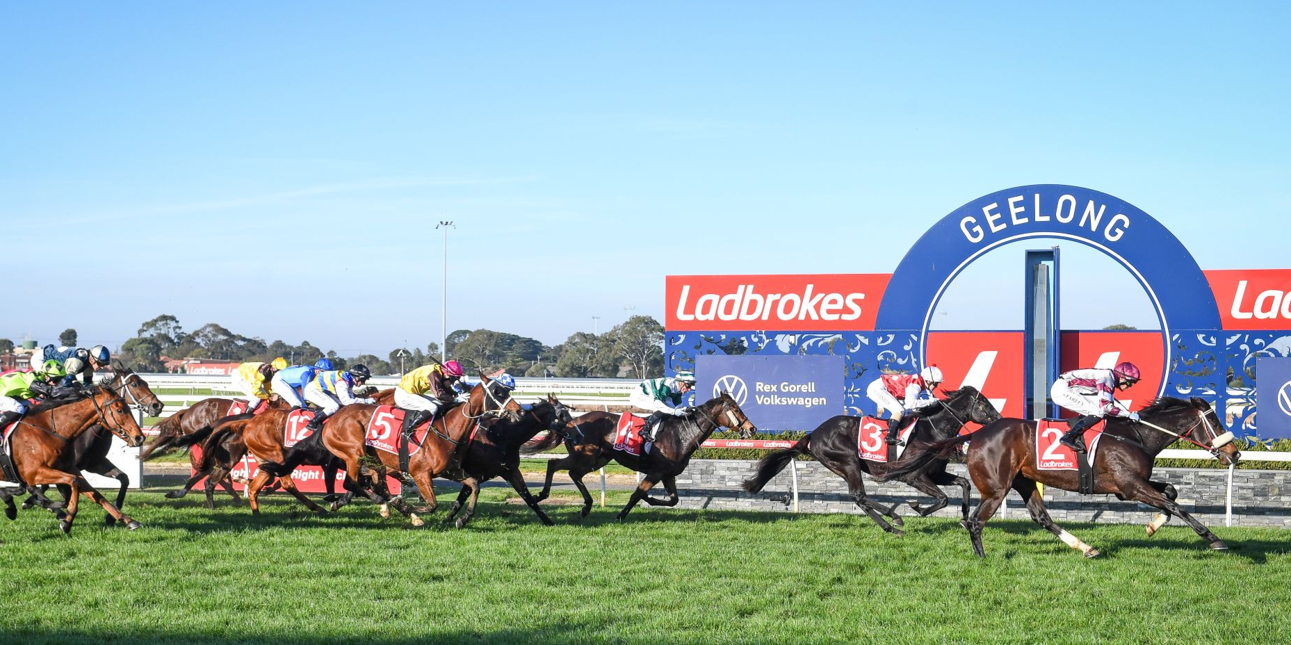 Friday Racing at Geelong Tile Image