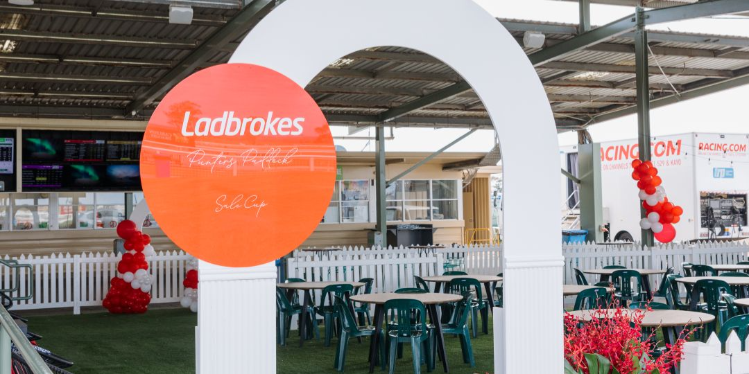 Punters Paddock