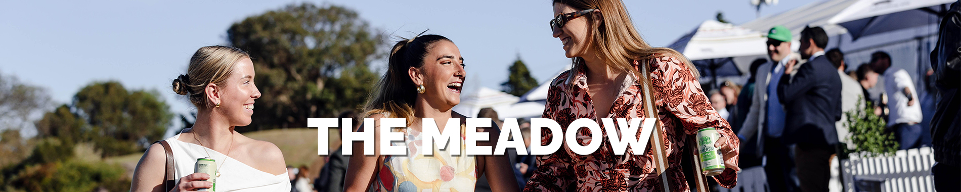 The Meadow Banner Image