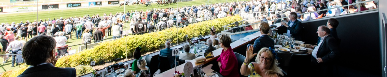 Geelong | Banner | Silks