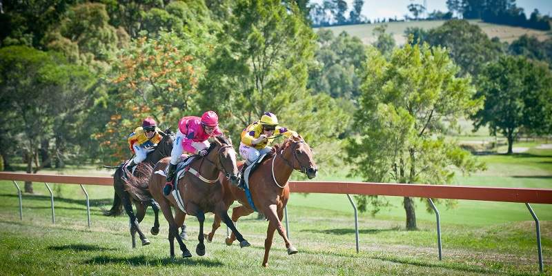 Drouin Boxing Day Races Tile Image