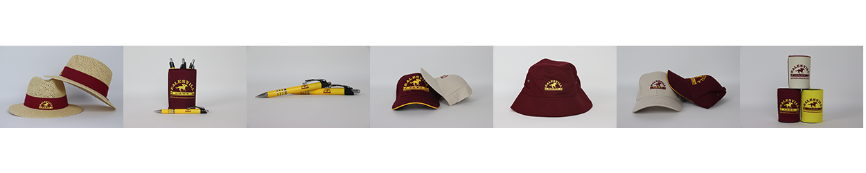 Healesville | Merchandise | Register Banner