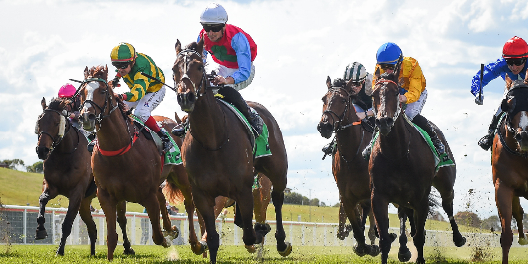 Thursday Racing 