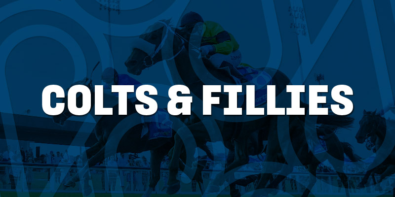 Pakenham | Colts and Fillies | Pakenham | Colts and Fillies | 2024-2025 Thumbnail