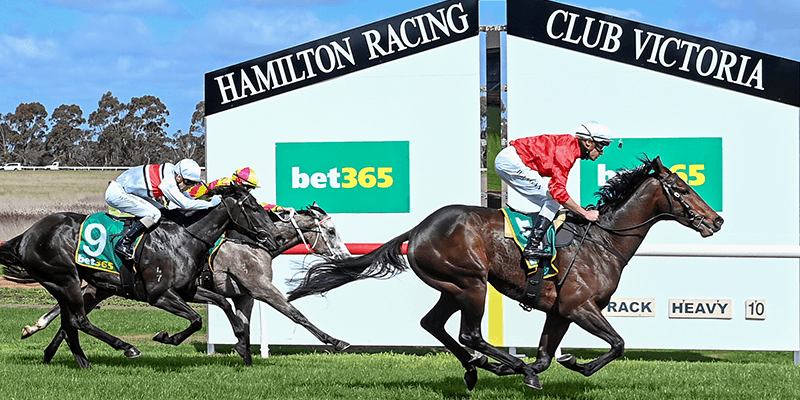 Party with the Ponies  Tile Image