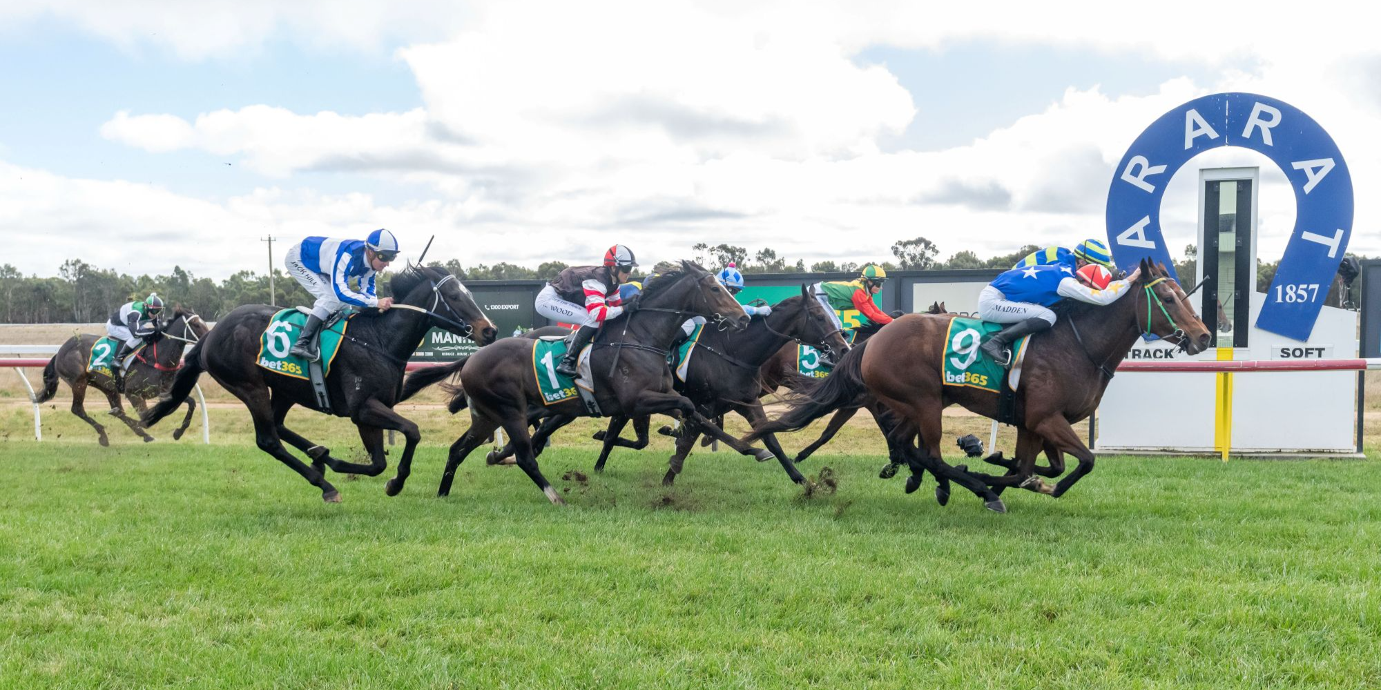 bet365 Ararat Gold Cup  Tile Image