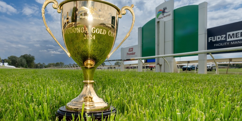 Picklebet Wodonga Gold Cup Tile Image