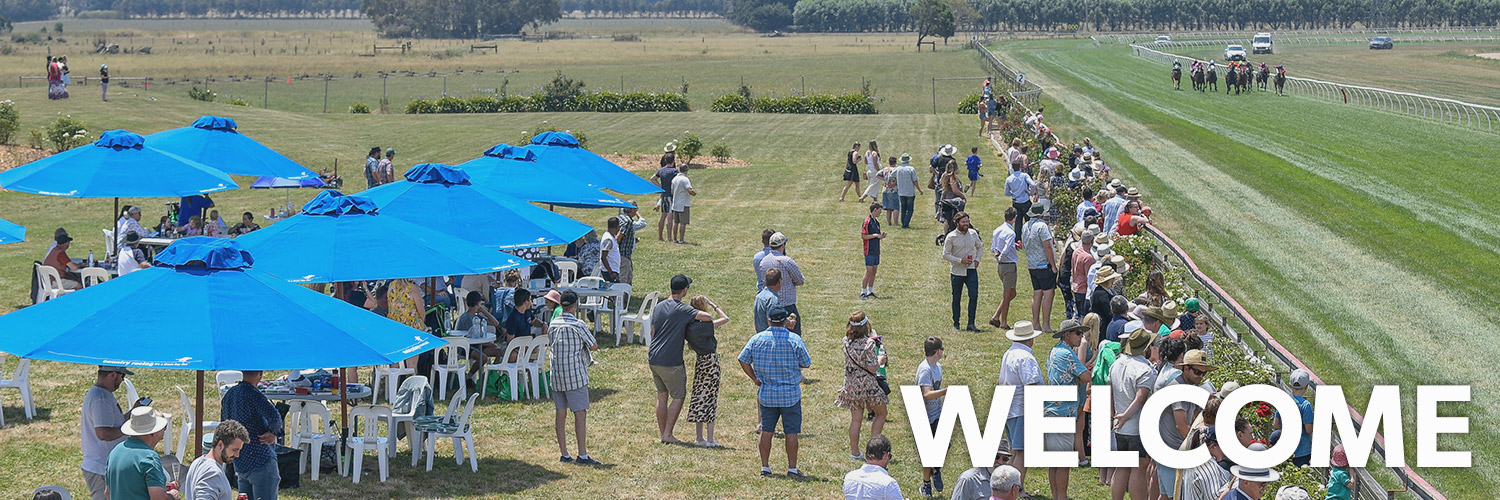 Terang | Home Page Image | Ticket Portal