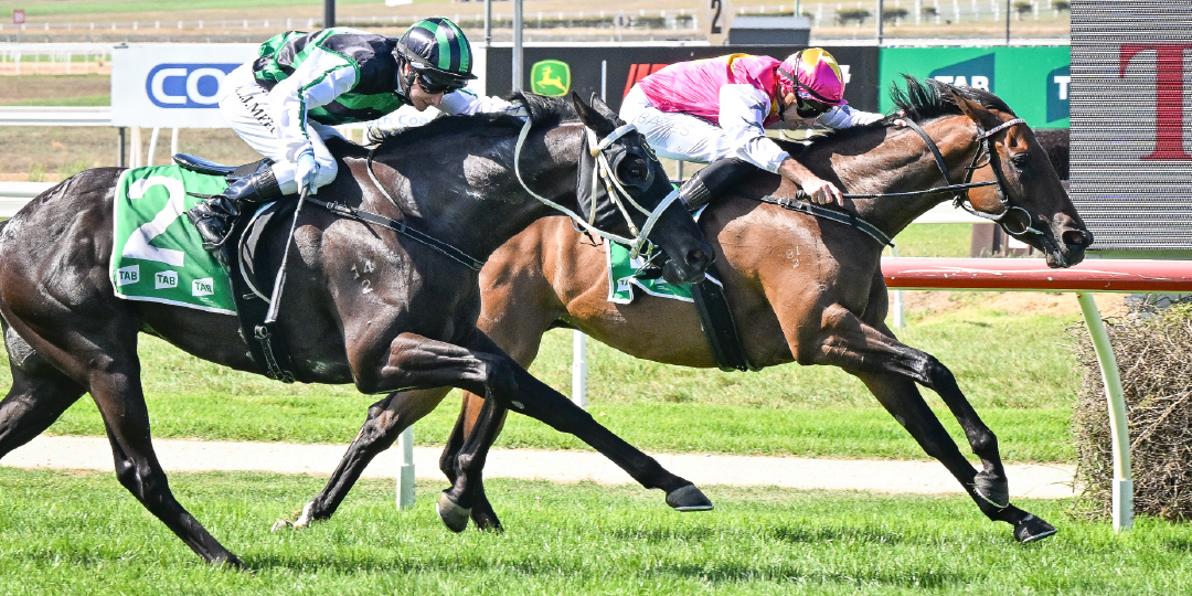 Community Race Day 