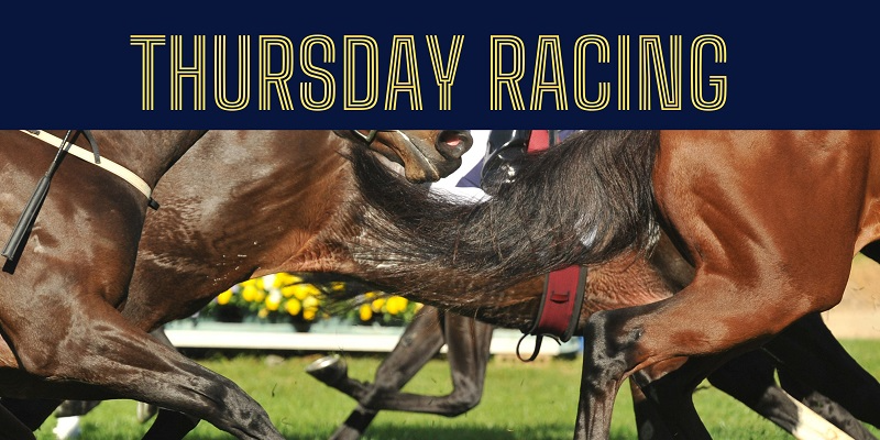 Thursday Racing  Tile Image