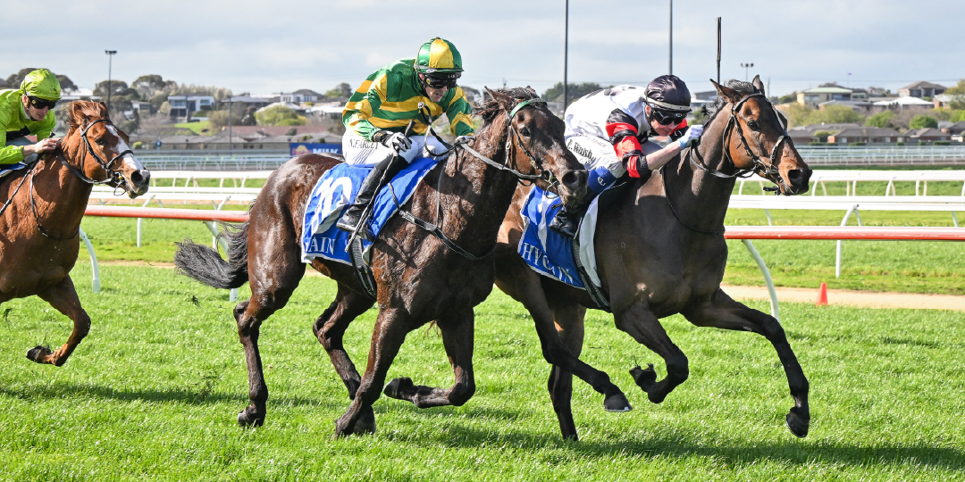 Thursday Racing 