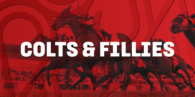 Cranbourne | Colts & Fillies | Cranbourne | Colts & Fillies Cranbourne Cup | 2024-2025 Thumbnail