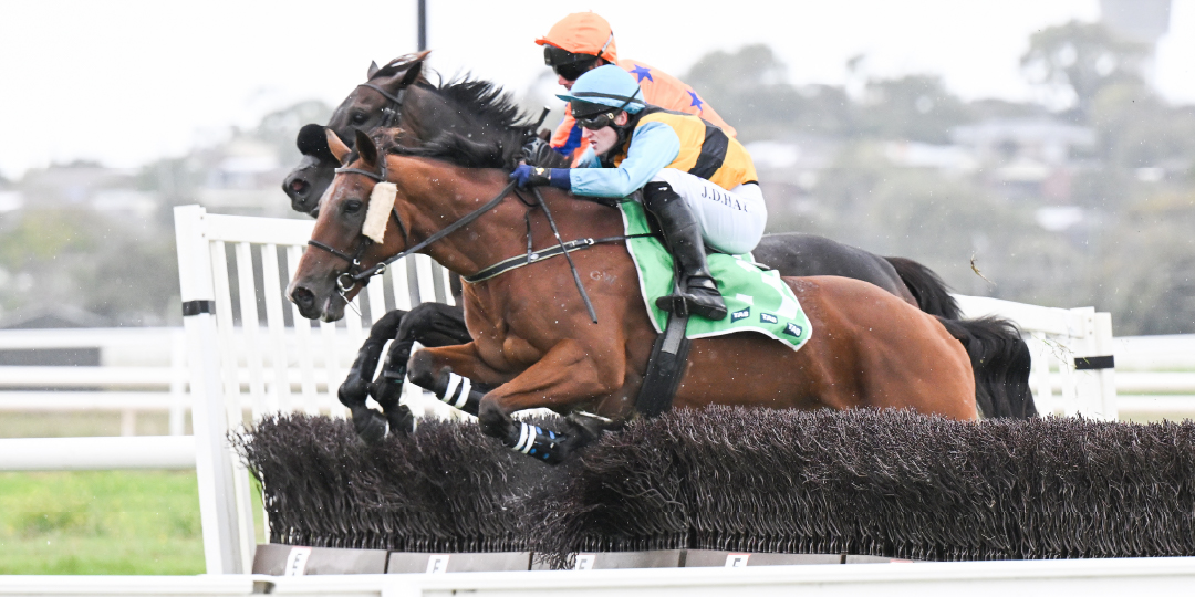 Whalers Hotel Race Day 