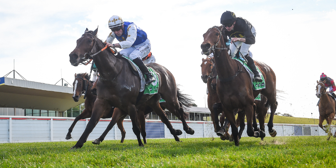 Thursday Racing 