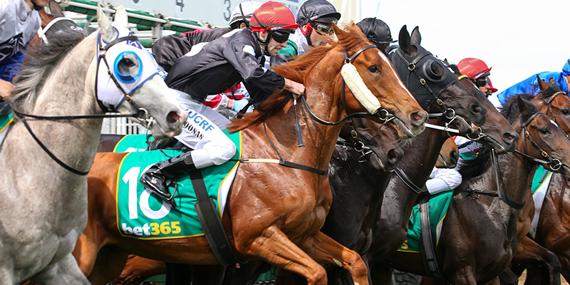 Friday Racing