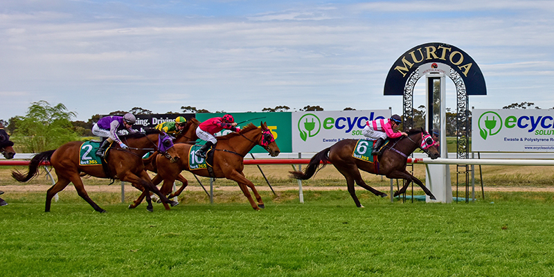 Marma Cup Day Tile Image