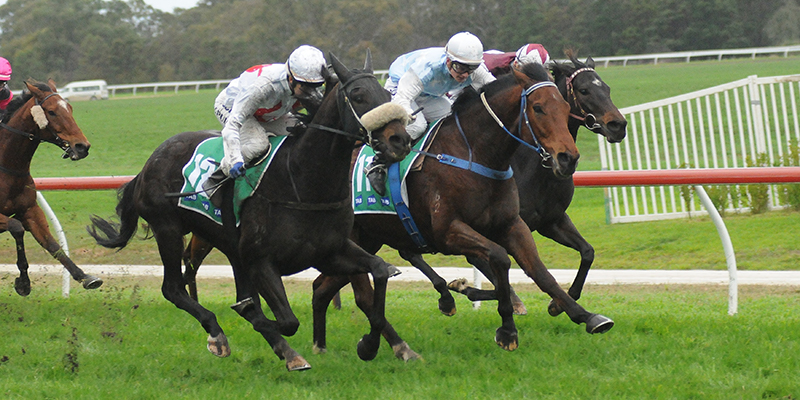 Casterton Cup  Tile Image