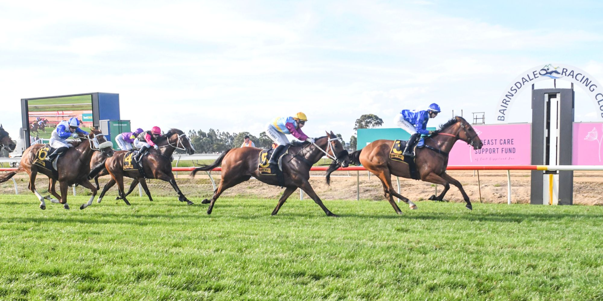 Tuesday Racing  Tile Image