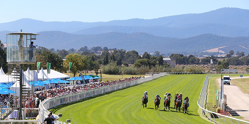 Kids Day Out  Tile Image