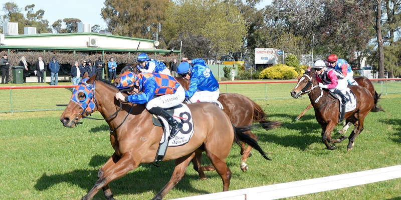 Emmetts Warracknabeal Cup  Tile Image
