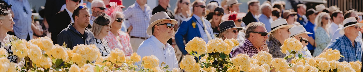 Bendigo | Banner | CJ Watson