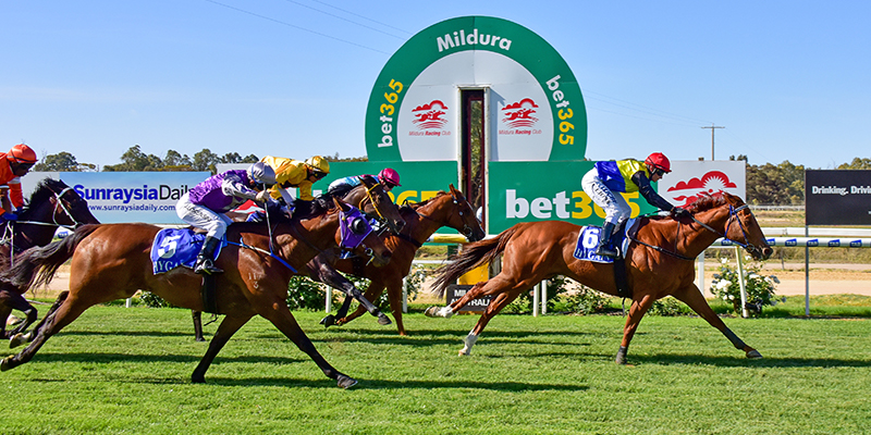 Tuesday Racing  Tile Image