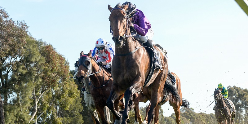 Friday Racing at Warracknabeal Tile Image