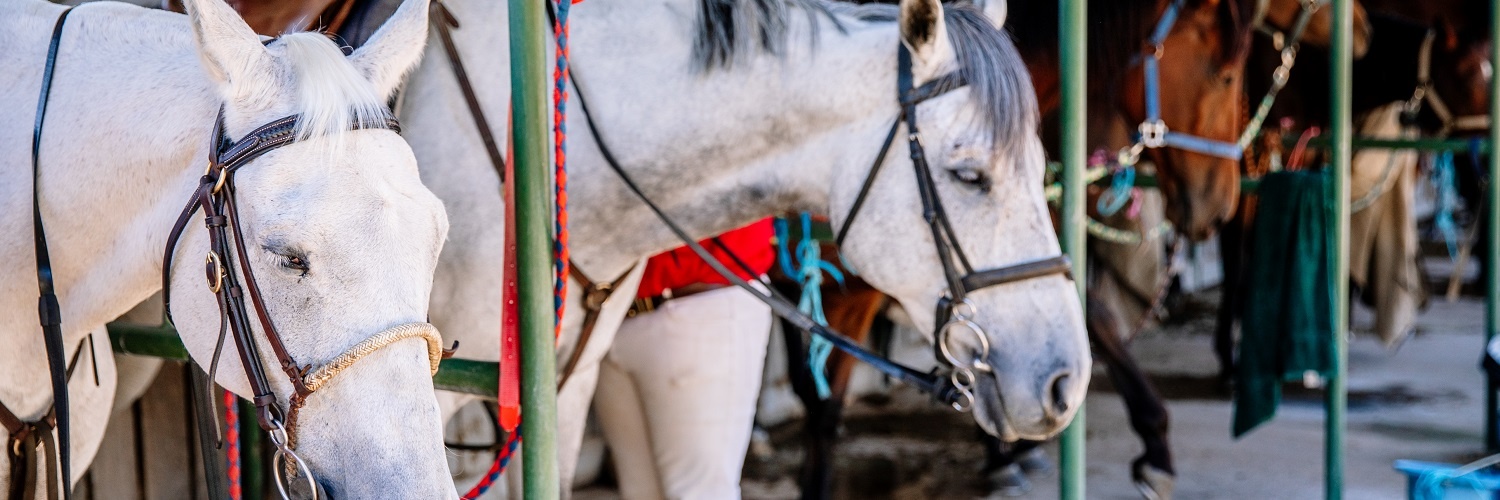 Warracknabeal | Home Page Image | Ticket Portal