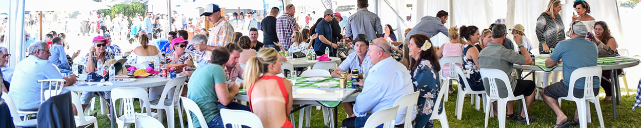 Towong | Banner | Phar Lap