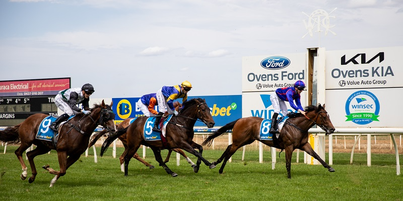 Insite Real Estate Twilight Christmas Party Races  Tile Image