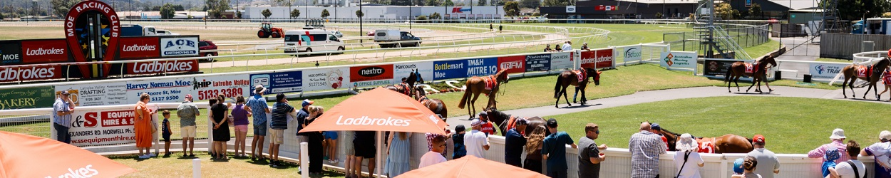 Moe | Banner | Race Day Tour