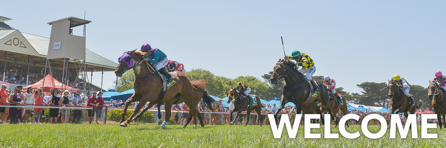 Camperdown | Home Page Image | Ticket Portal