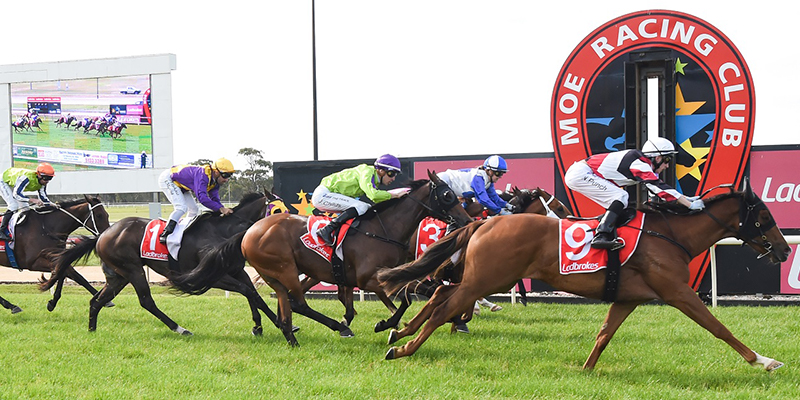 Ladbrokes Moe Cup Tile Image