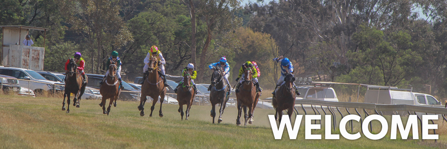 Merton | Home Page Image | Ticket Portal